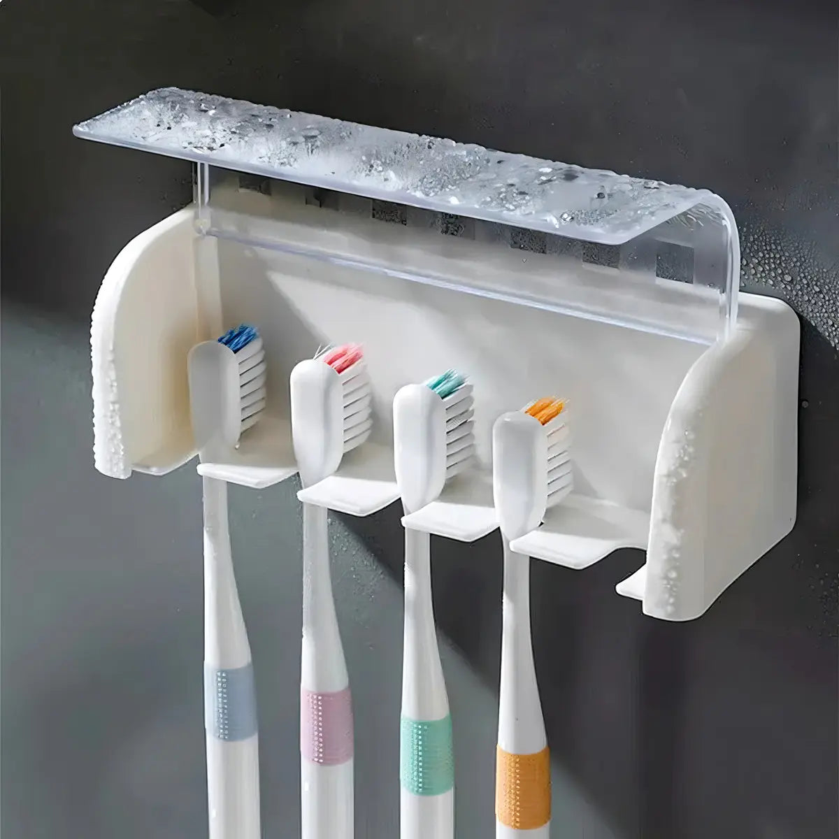 Suporte Porta Escova de Dente Zenlart
