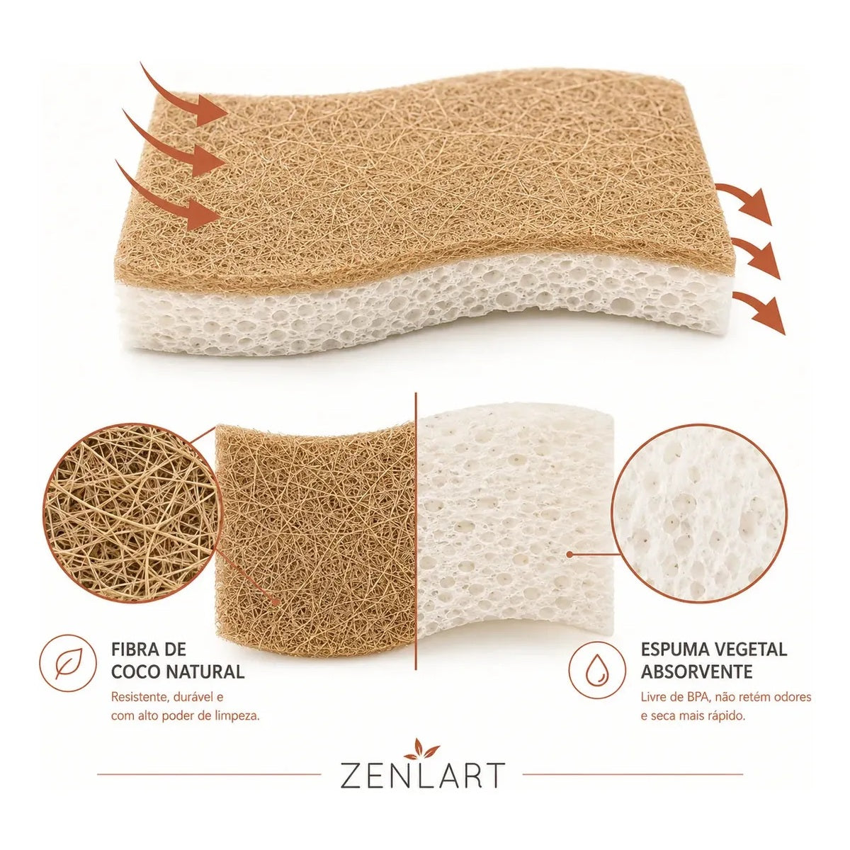 Kit 4 Esponjas Naturais de Celulose e Fibra de Coco Zenlart — imagem 6